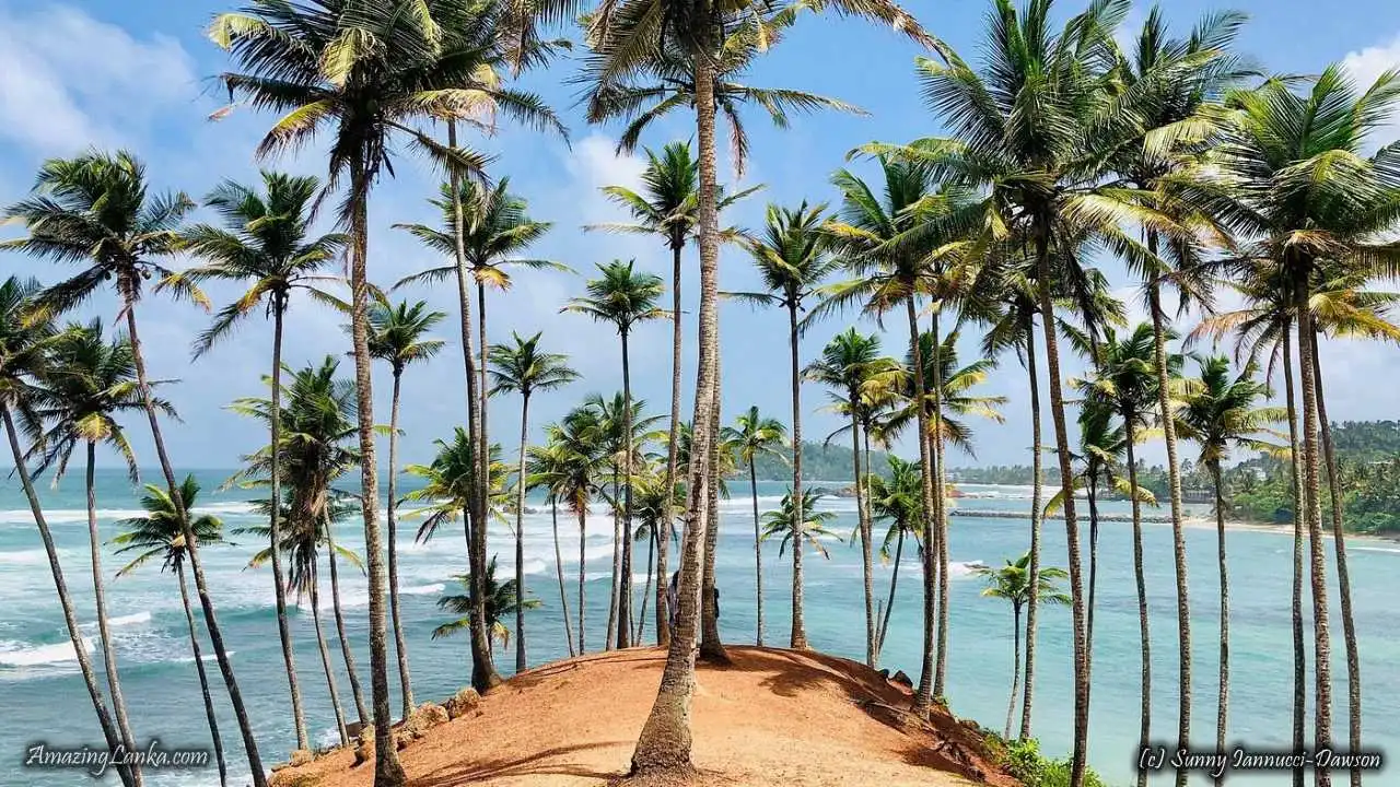 Mirissa