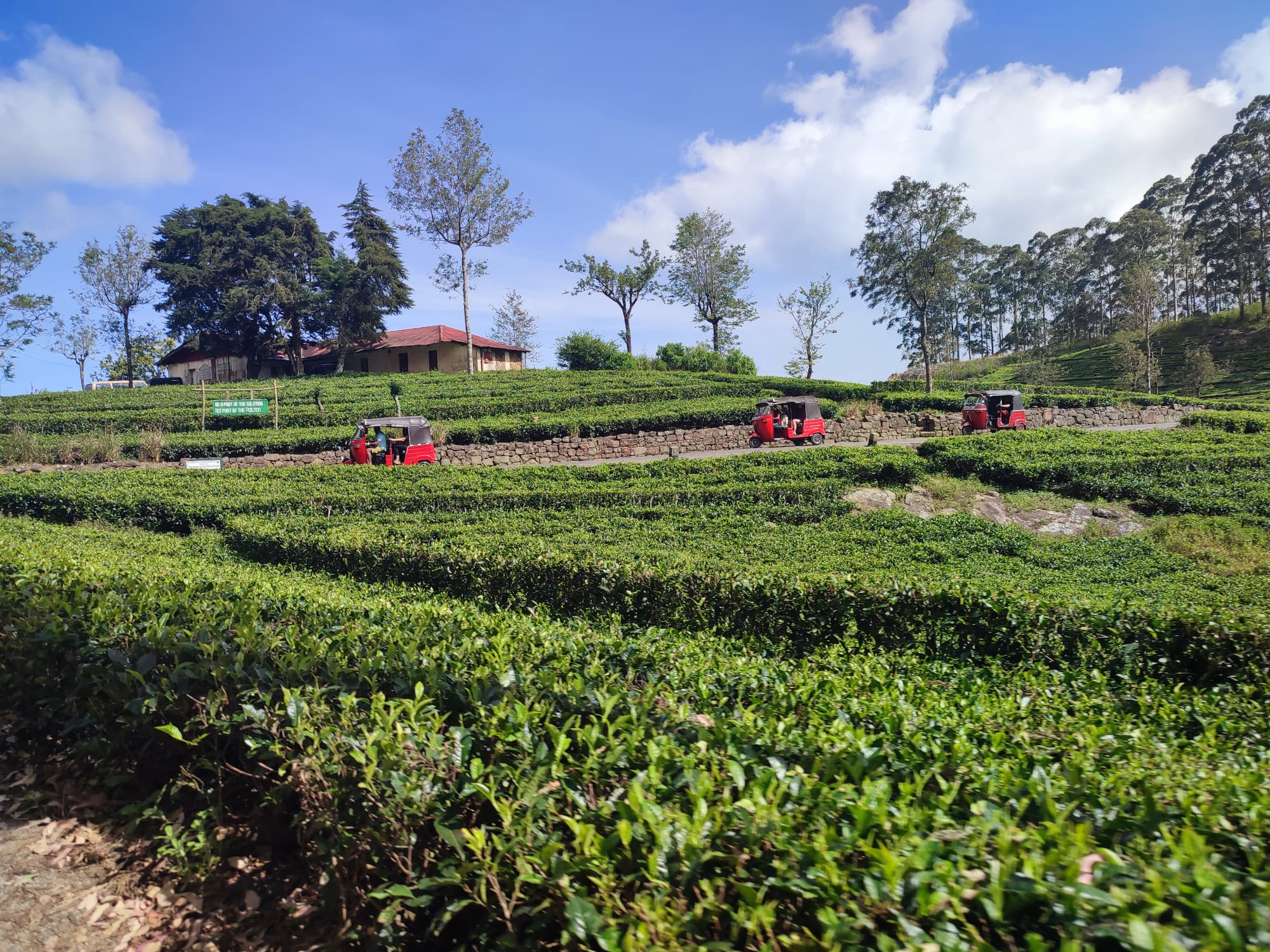 Wellness Retreats